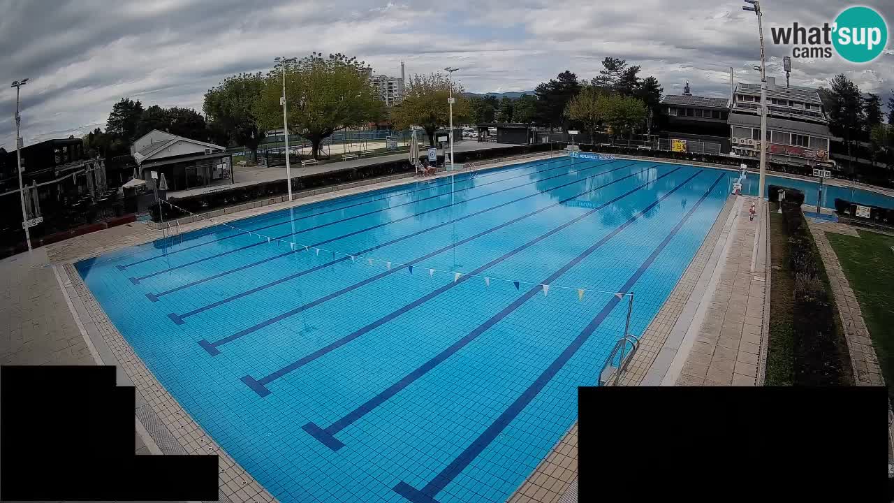 Webcam Celje – Main swimming pool