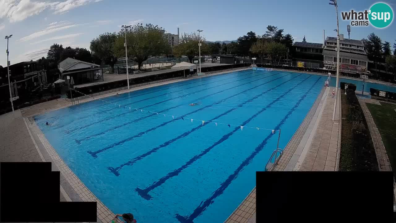 Webcam Celje – Main swimming pool