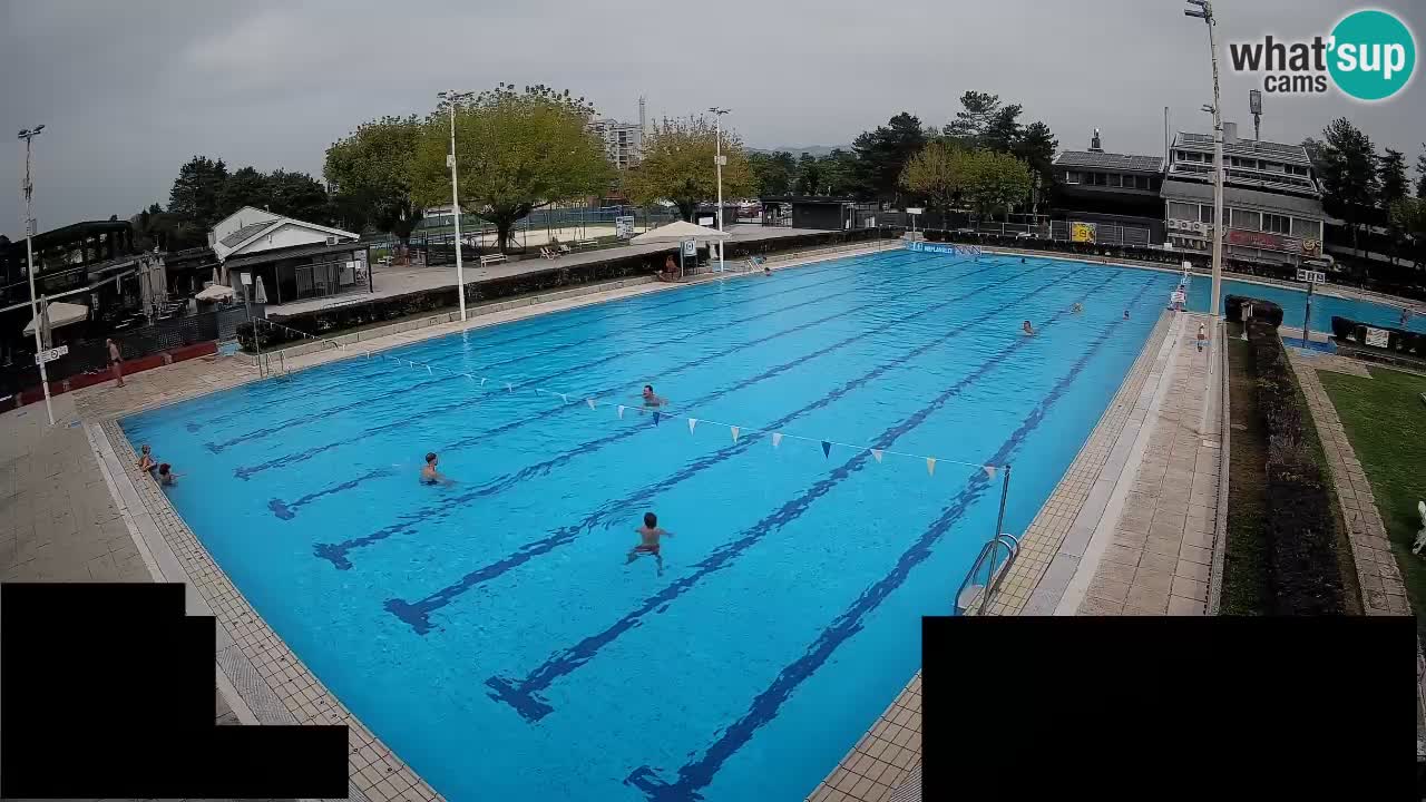 Webcam Celje – Main swimming pool