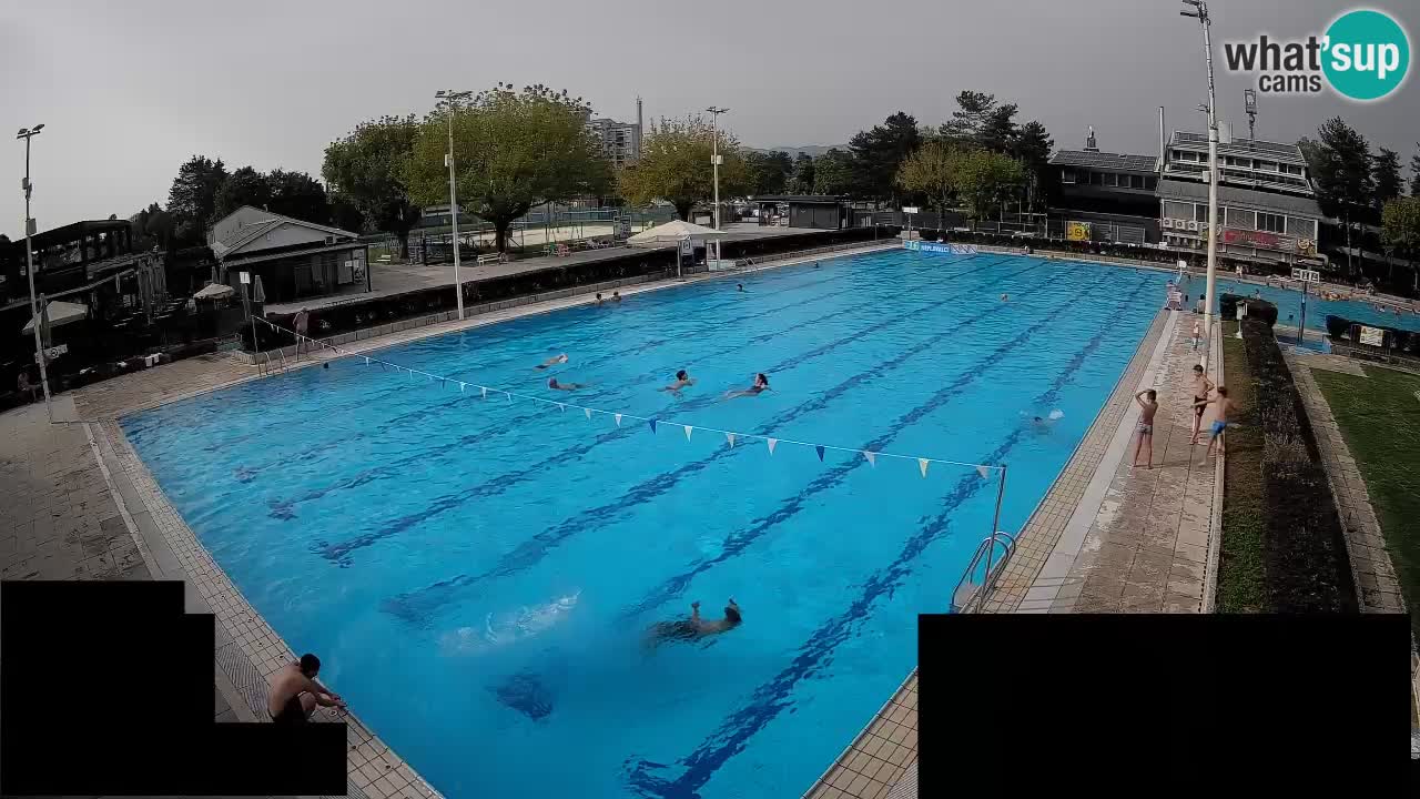 Webcam Celje – Main swimming pool