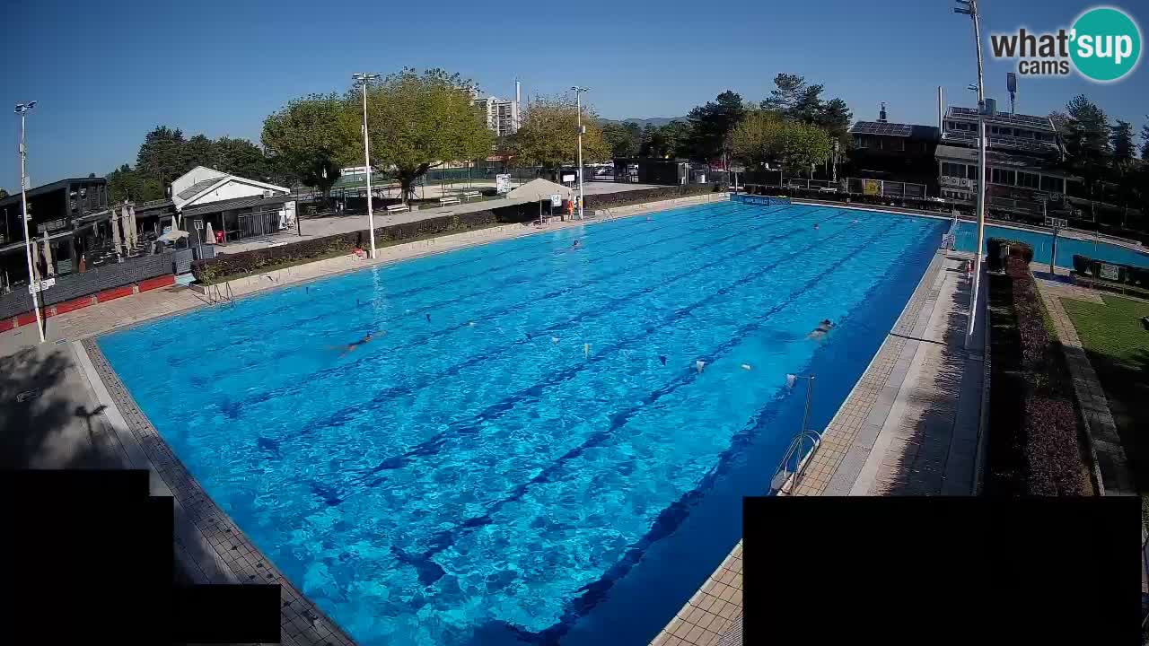 Webcam Celje – Main swimming pool