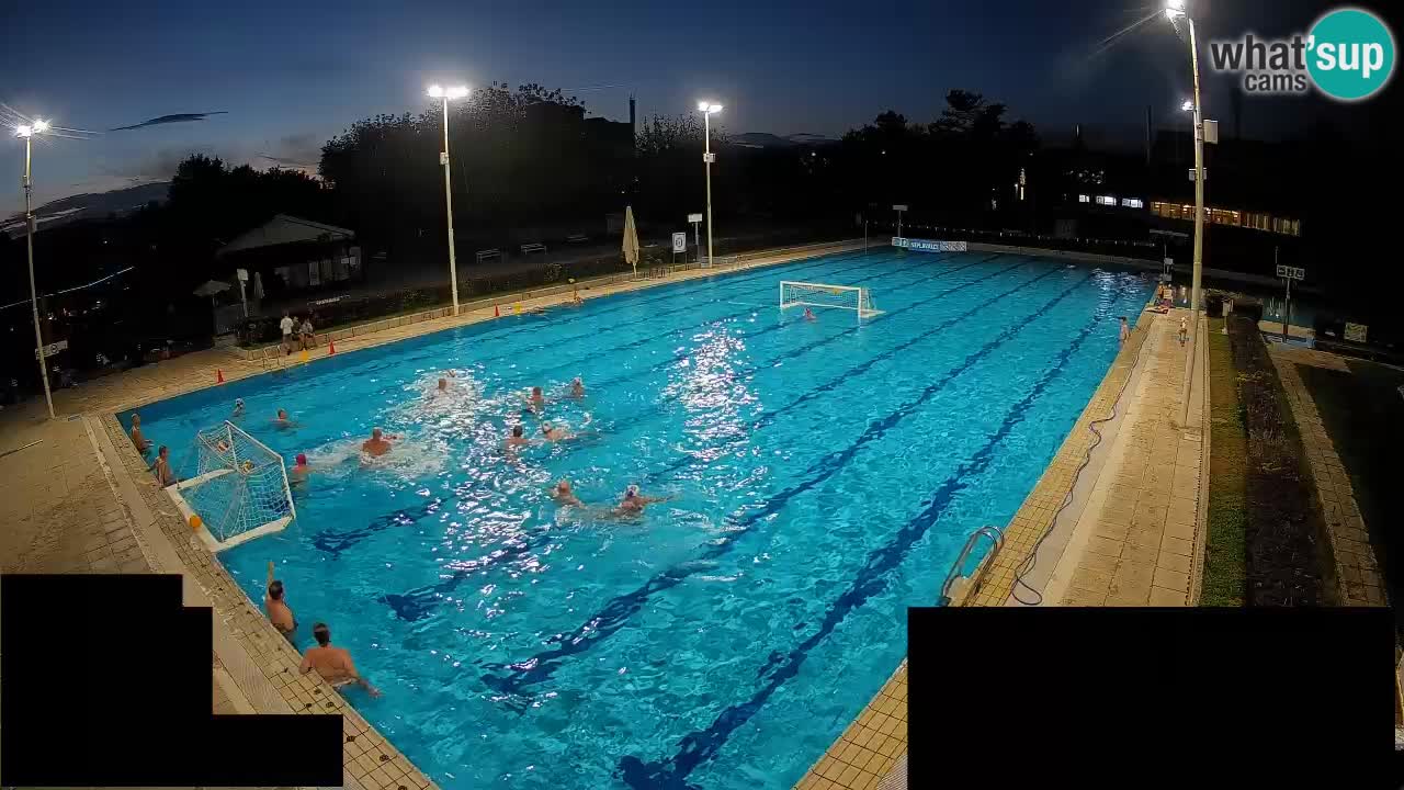 Webcam Celje – Main swimming pool