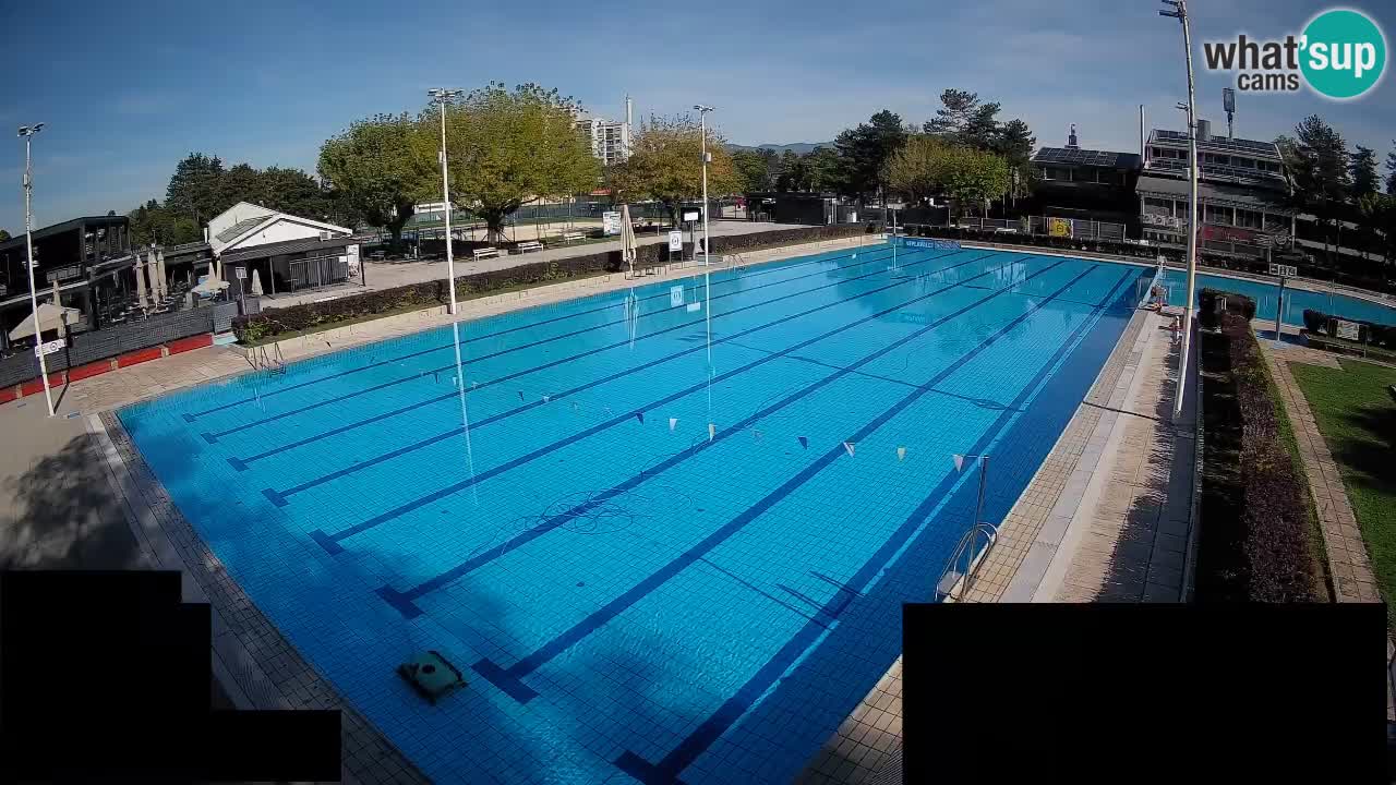 Webcam Celje – Main swimming pool