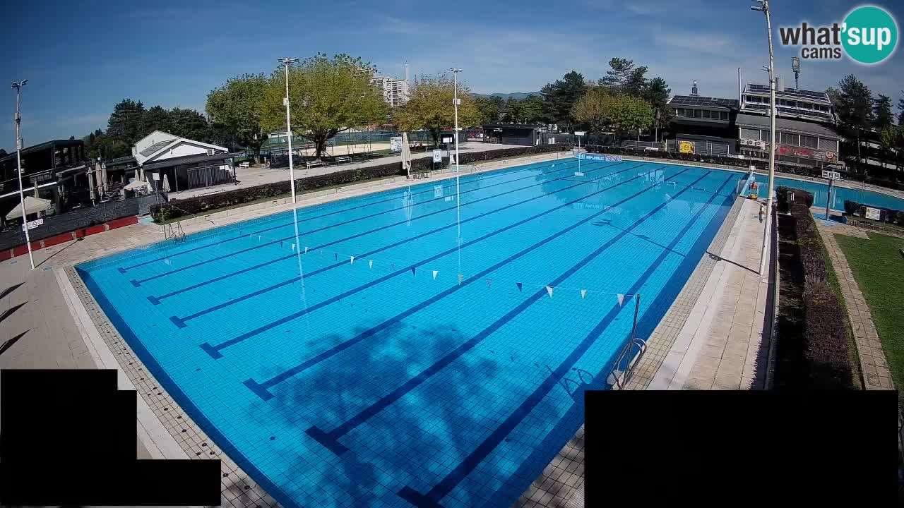 Webcam Celje – Main swimming pool