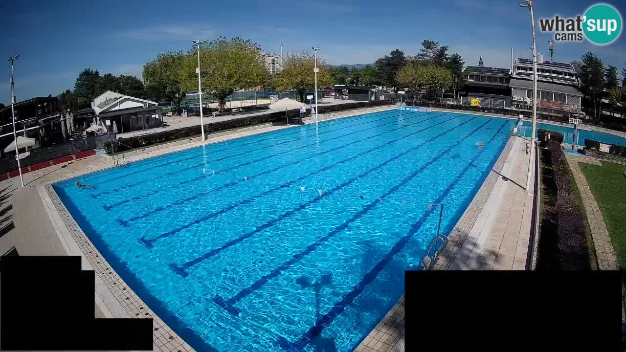Webcam Celje – Main swimming pool