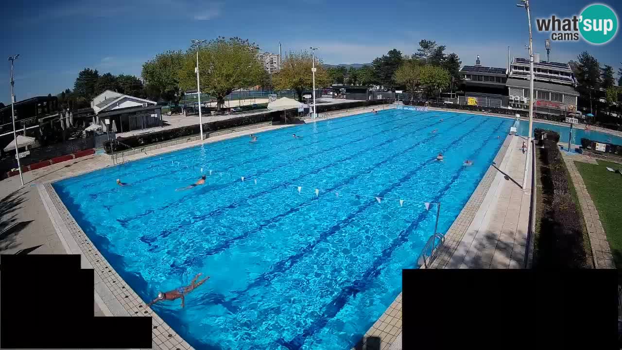 Cámara web Celje – Piscina principal