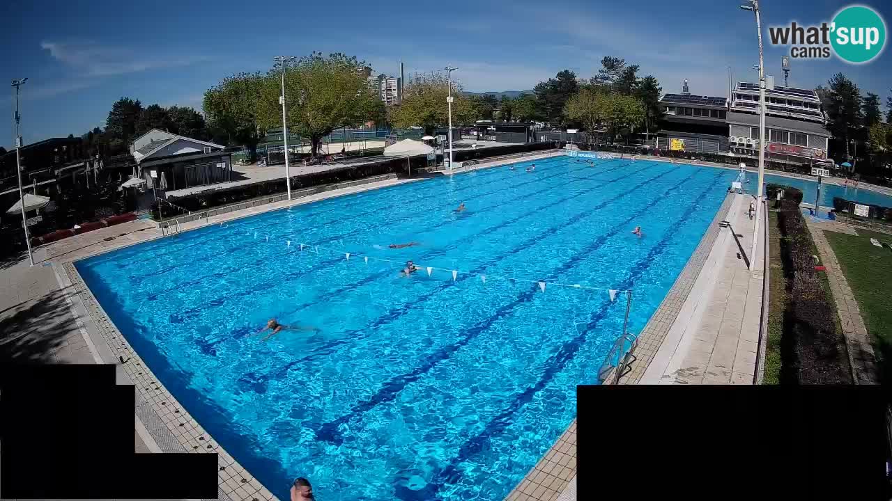 Webcam Celje – Main swimming pool