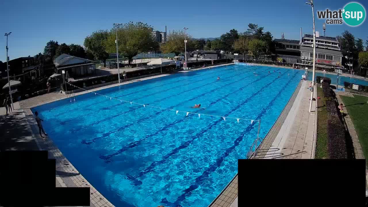 Webcam Celje – Main swimming pool