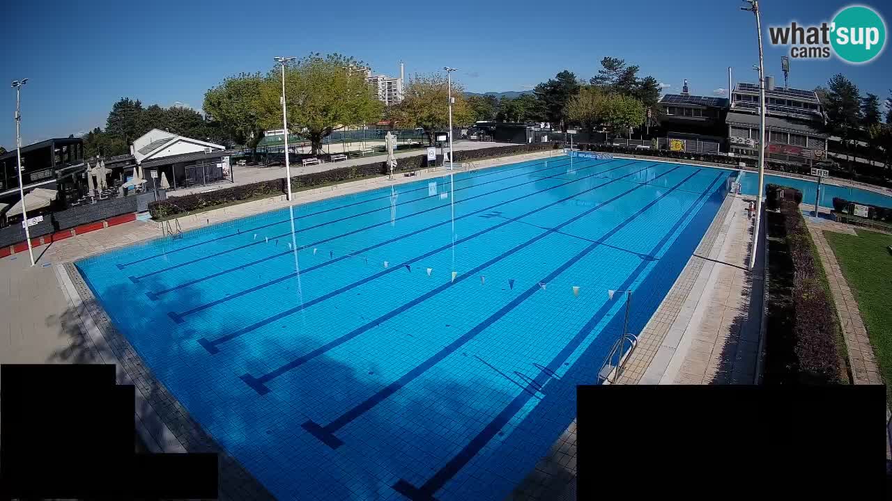 Webcam Celje – Main swimming pool