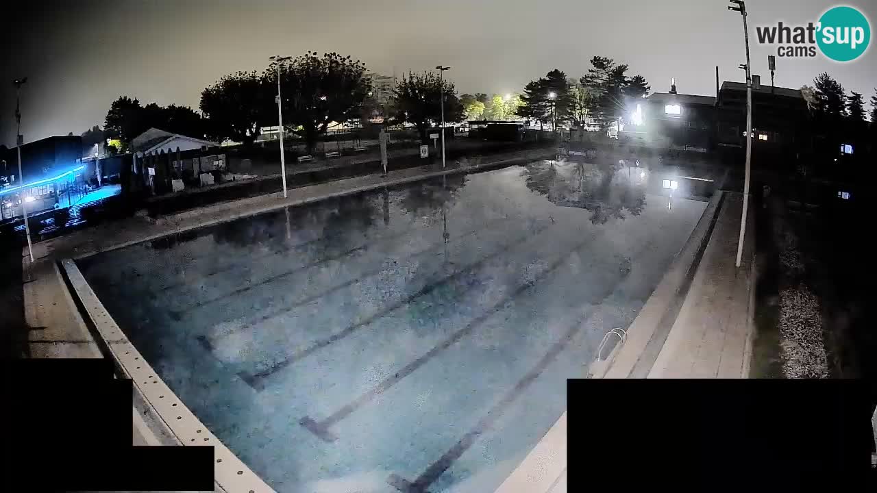 Webcam Celje – Main swimming pool