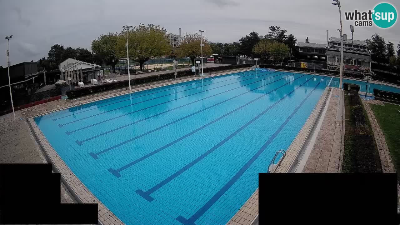 Webcam Celje – Main swimming pool