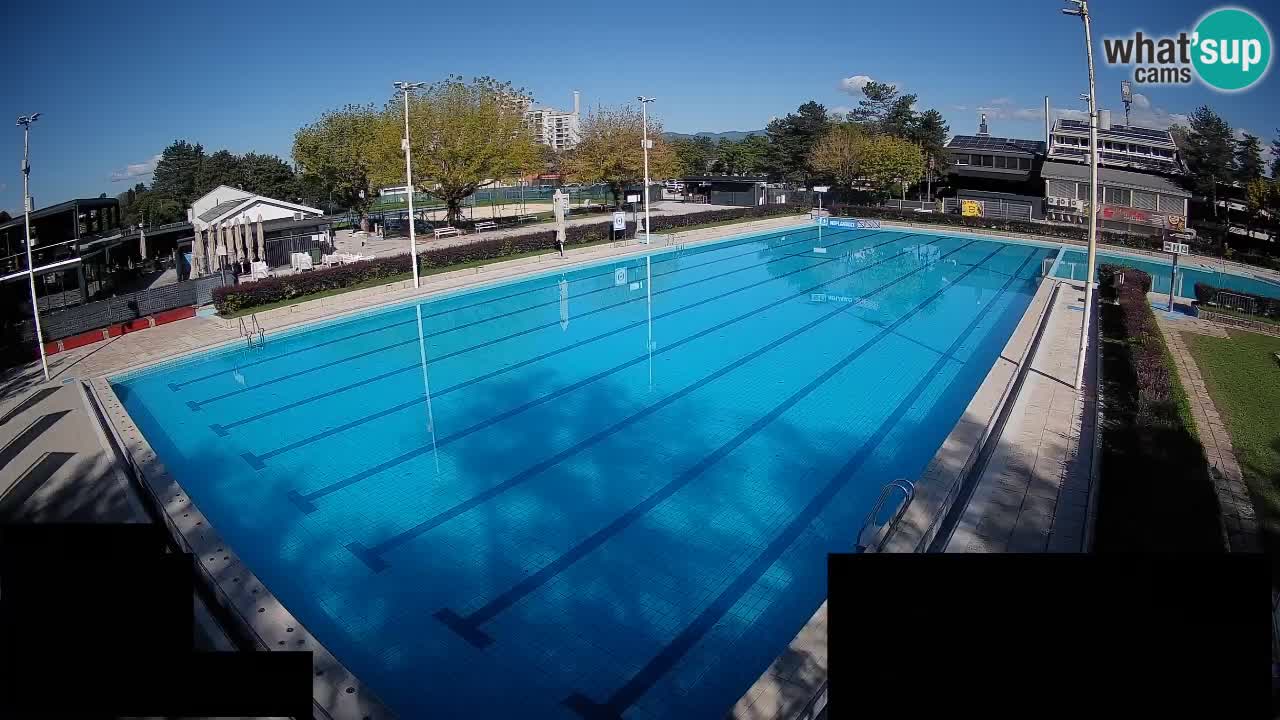Webcam Celje – Main swimming pool