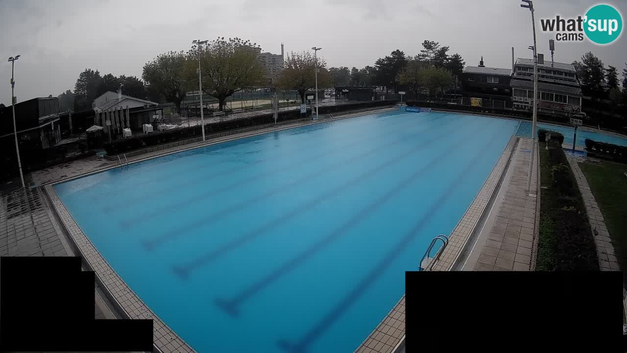 Webcam Celje – Main swimming pool