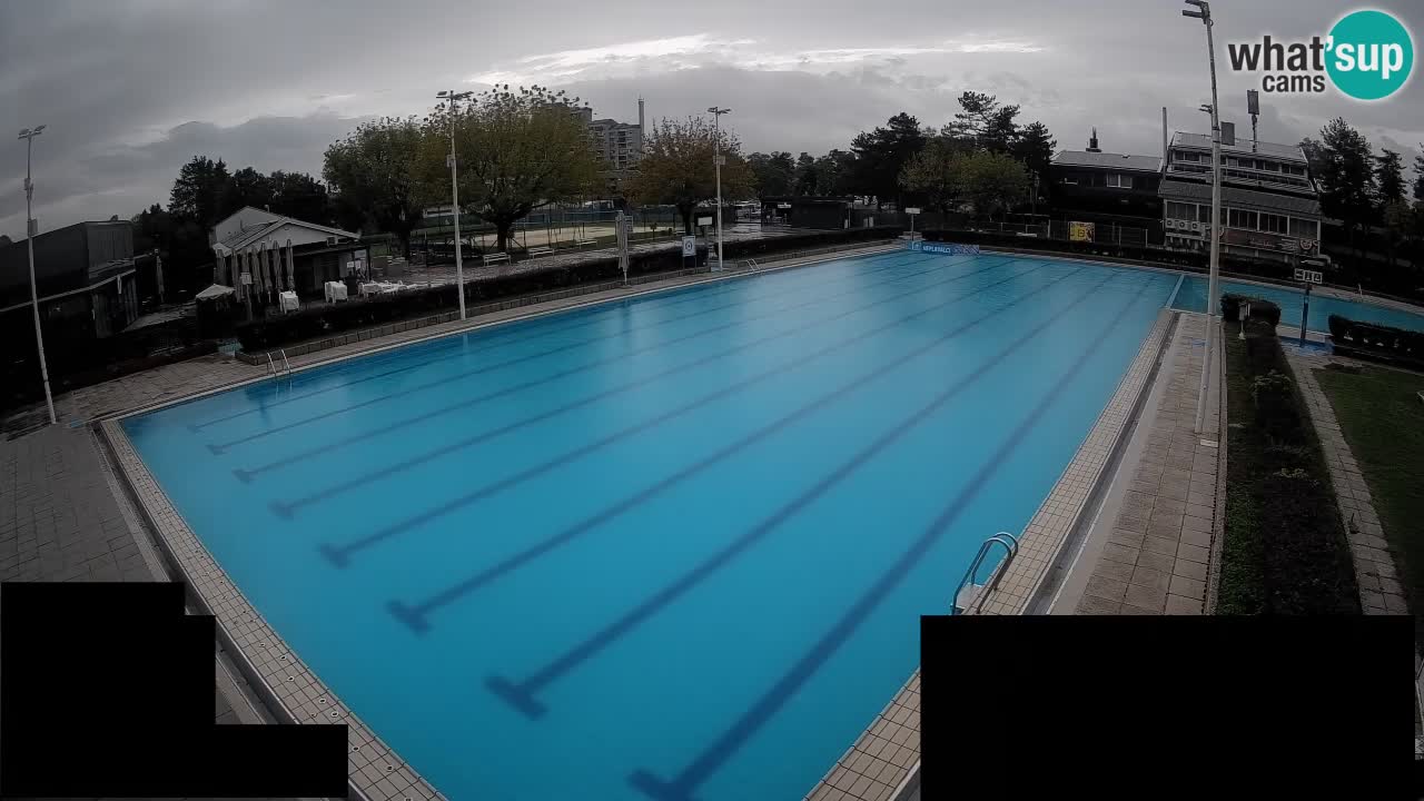 Webcam Celje – Main swimming pool