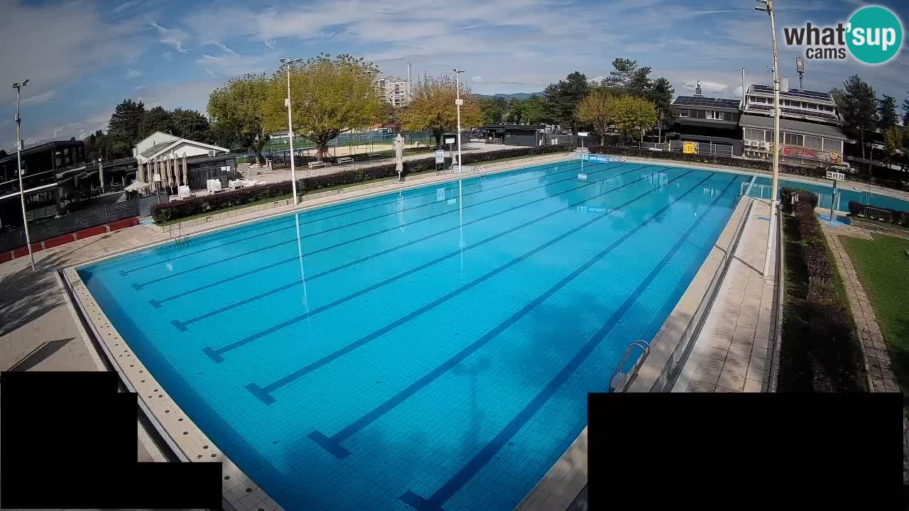 Webcam Celje – Main swimming pool