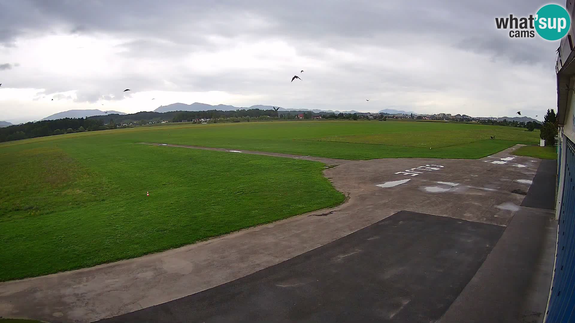 Aeroklub Celje kamera | LJCL