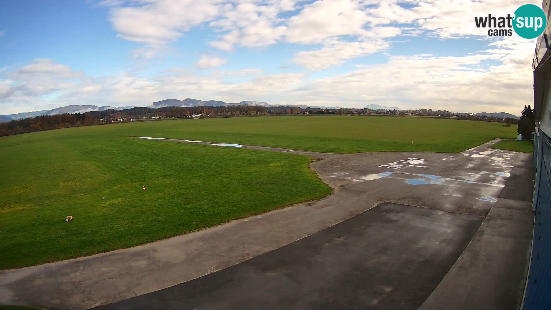 Webcam del aeródromo de Celje | LJCL | Eslovenia