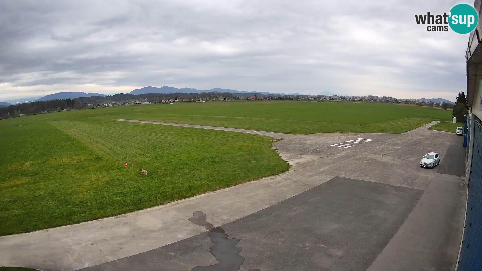 Aeroklub Celje kamera | LJCL