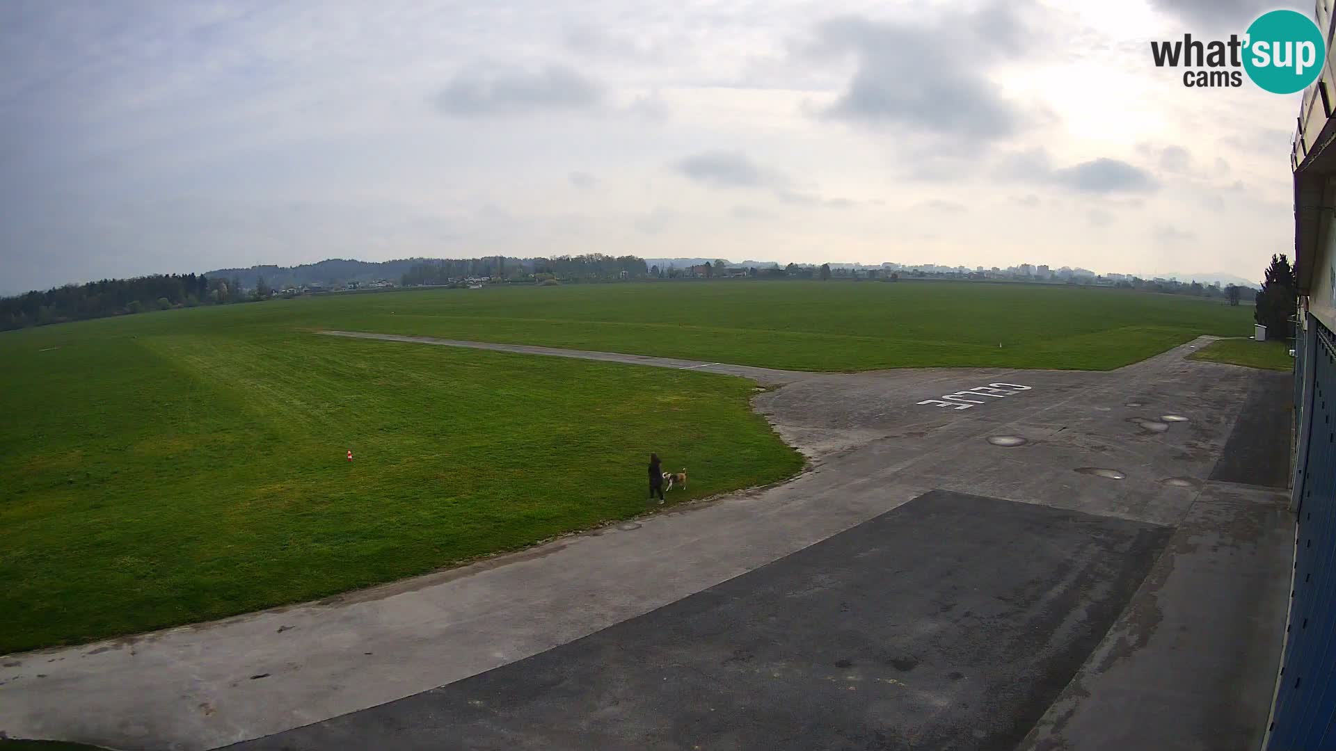 Webcam del aeródromo de Celje | LJCL | Eslovenia