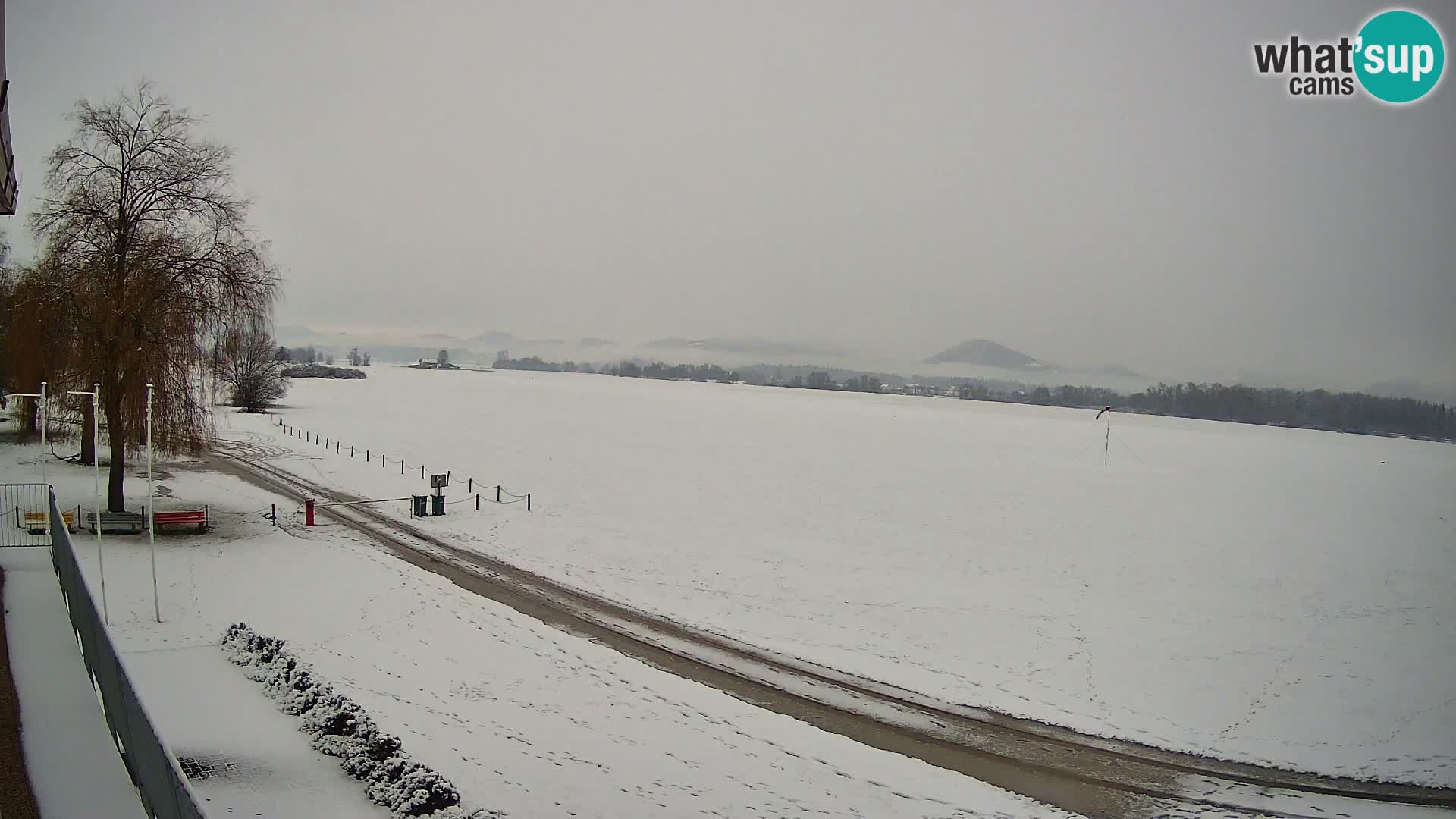 Aeródromo de Celje webcam | LJCL | Eslovenia