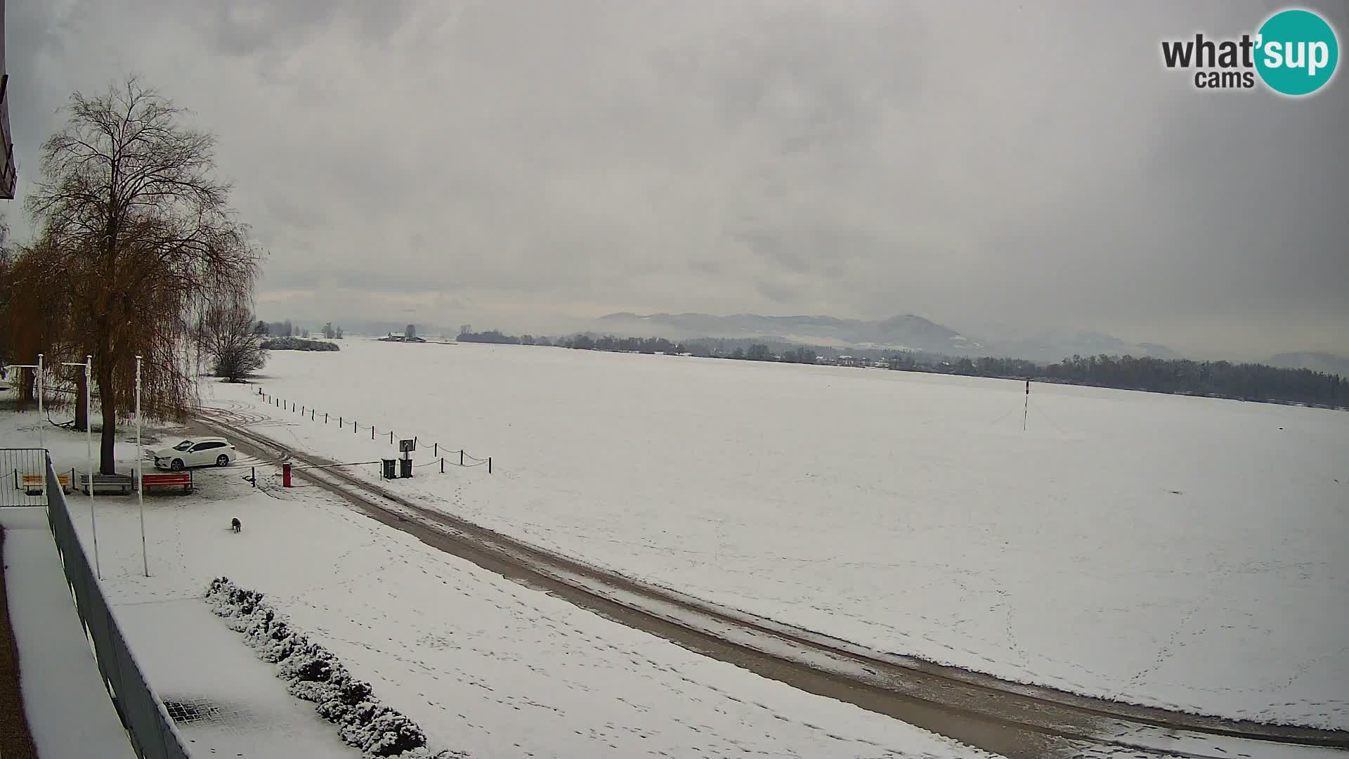 Flugplatz Celje Webcam | LJCL | Slowenien