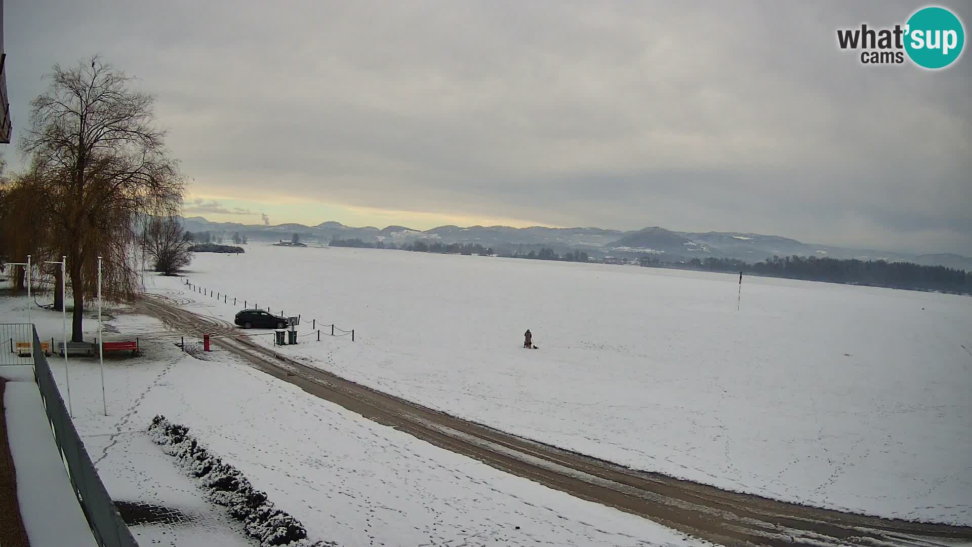 Aeródromo de Celje webcam | LJCL | Eslovenia