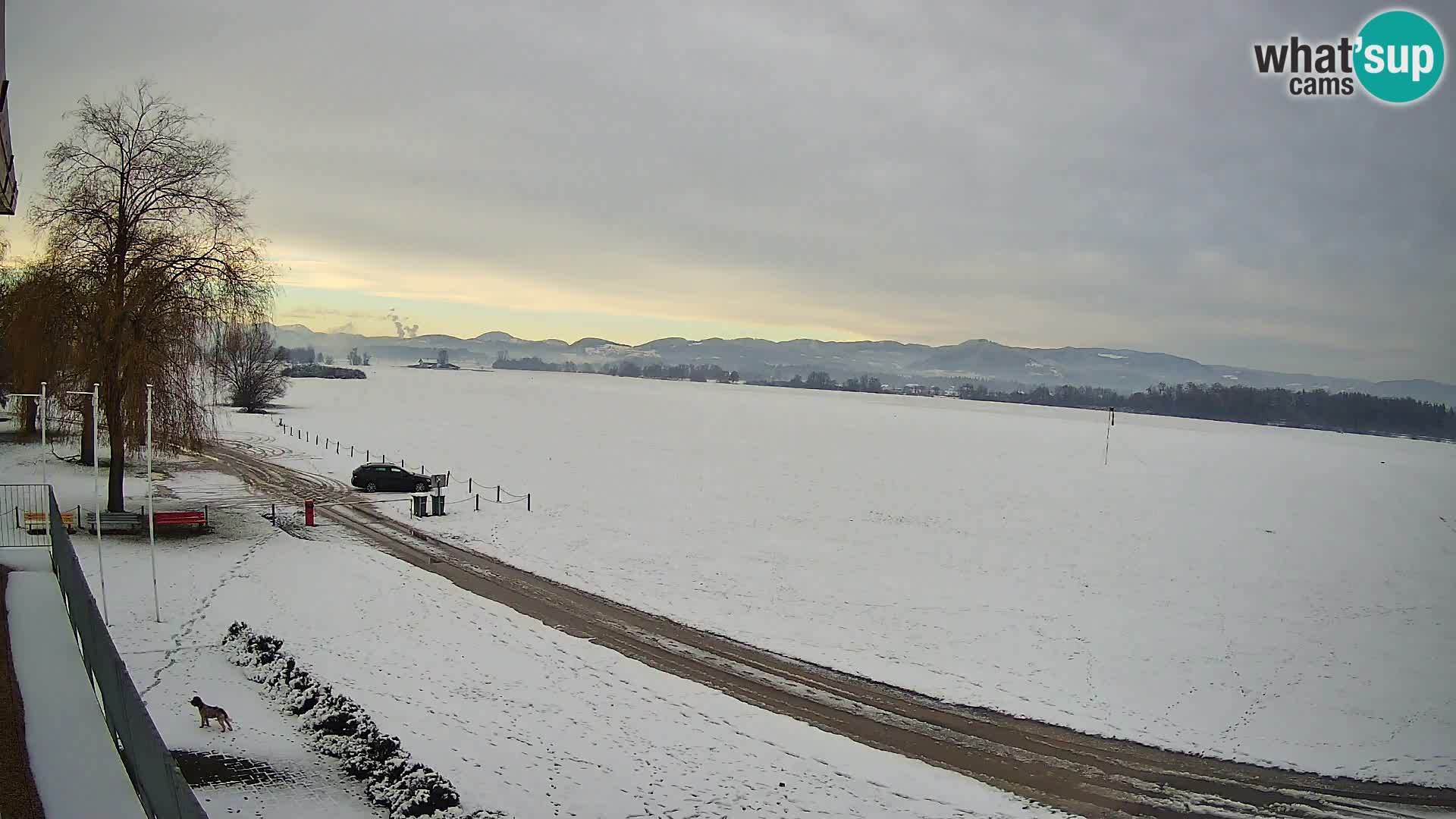 Aeroporto Celje Webcam | LJCL | Slovenia