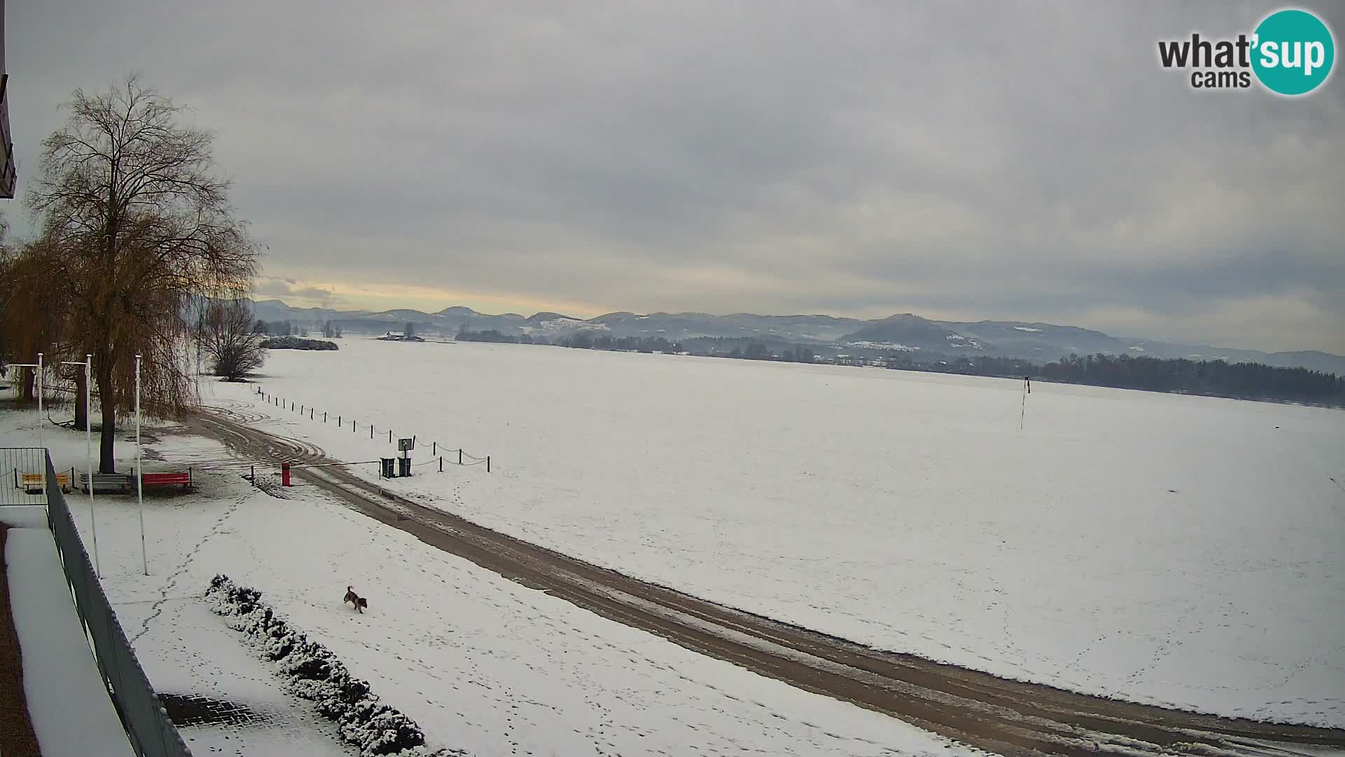 Aeroporto Celje Webcam | LJCL | Slovenia