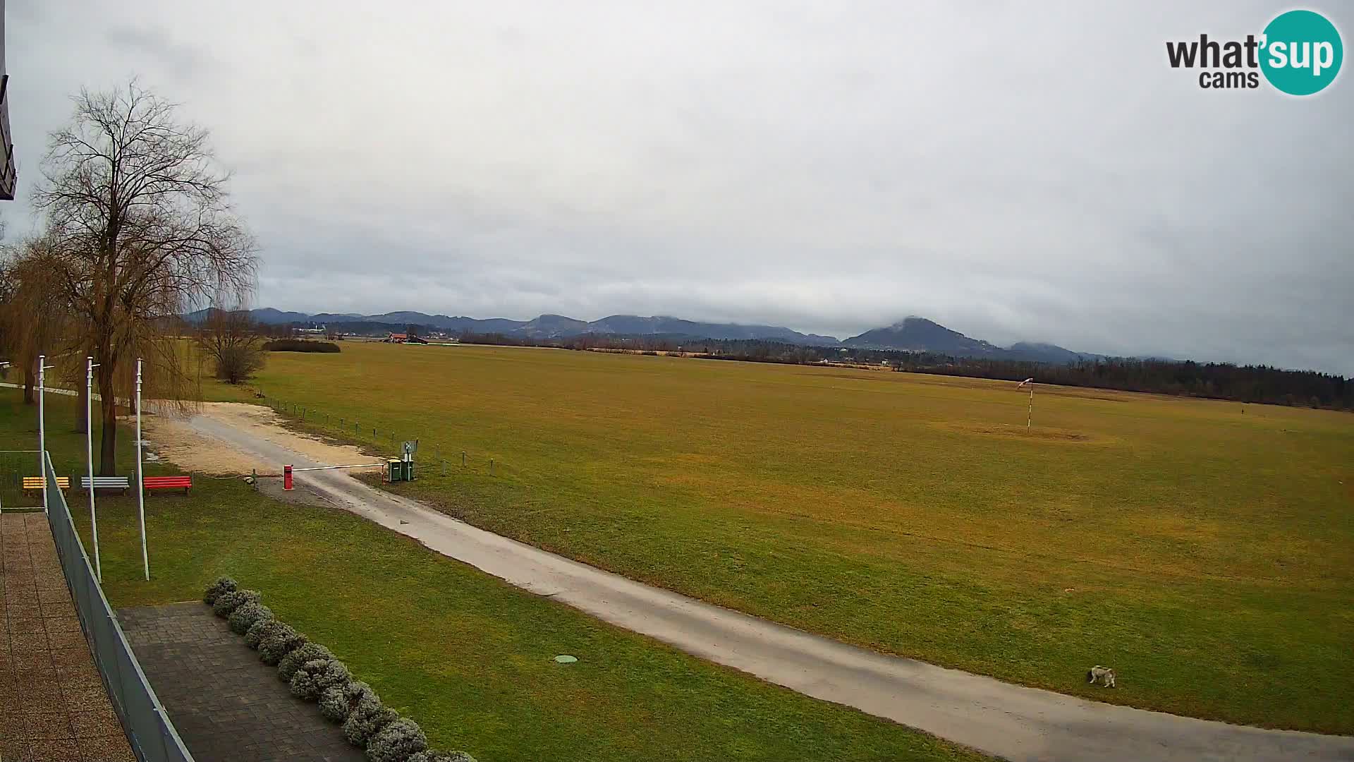 Aérodrome de Celje Webcam | LJCL | Slovénie