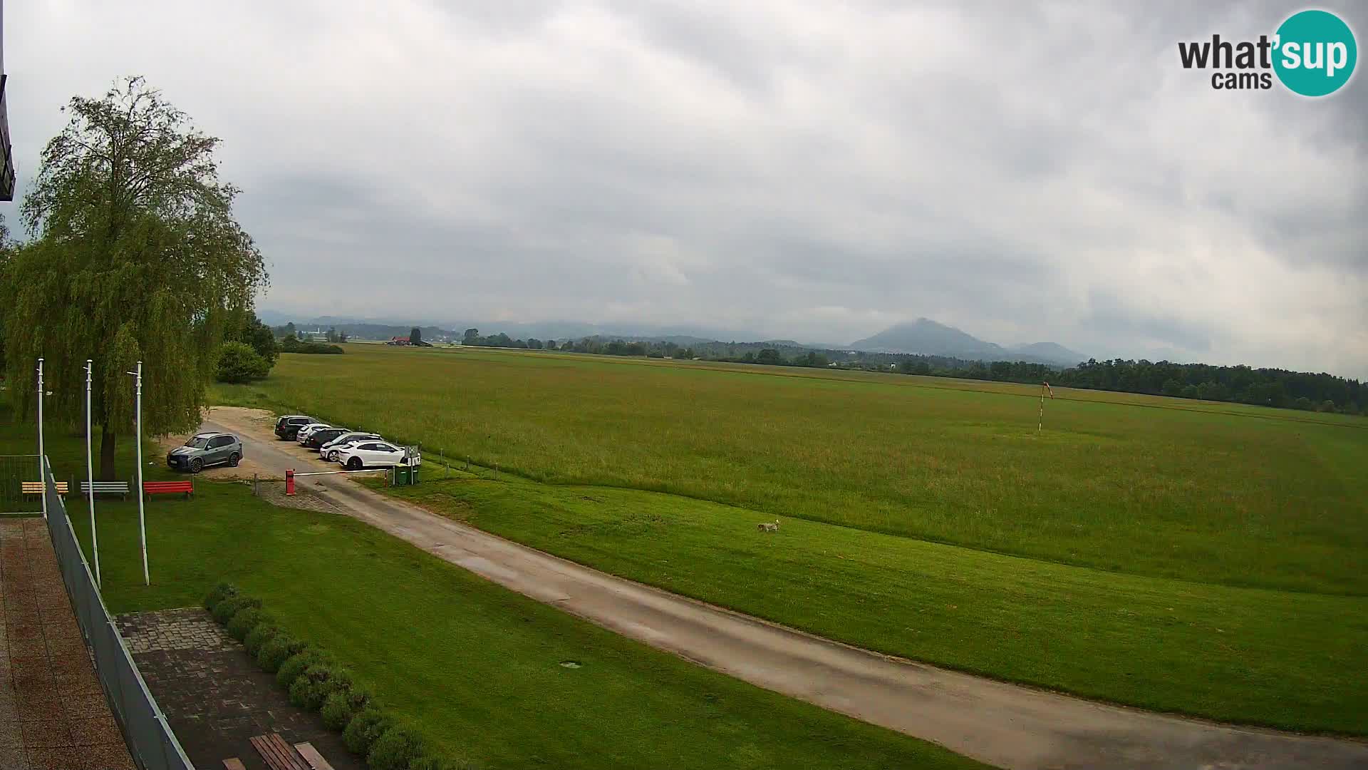 Aérodrome de Celje Webcam | LJCL | Slovénie