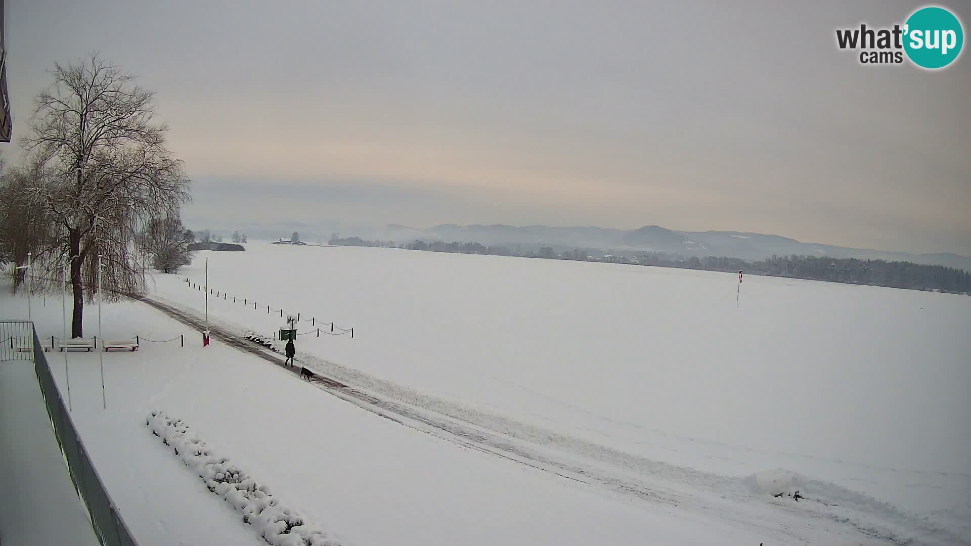 Zračna luka Celje Web kamera | LJCL | Slovenia