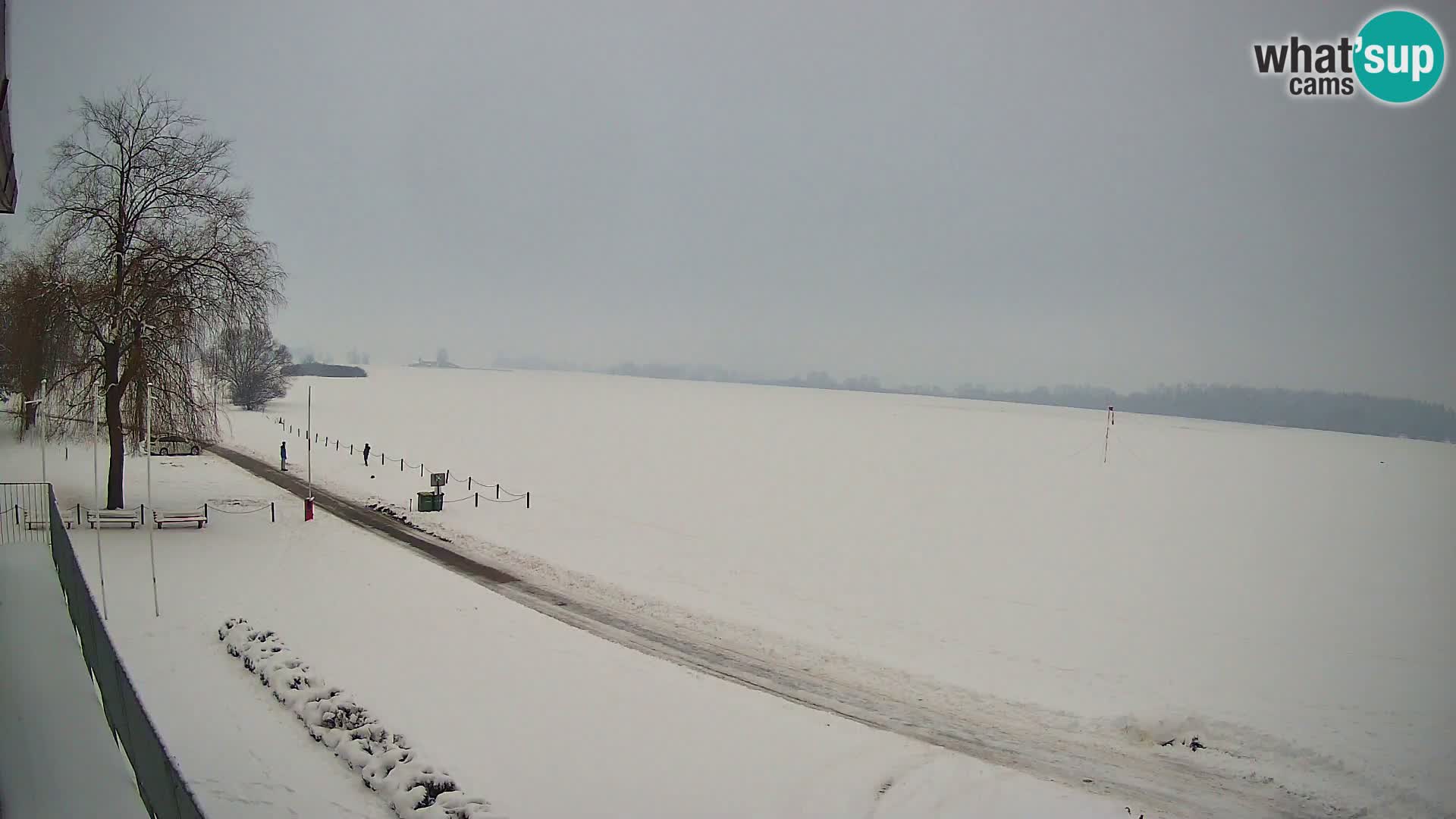 Celje Airfield livecam | LJCL | Slovenia