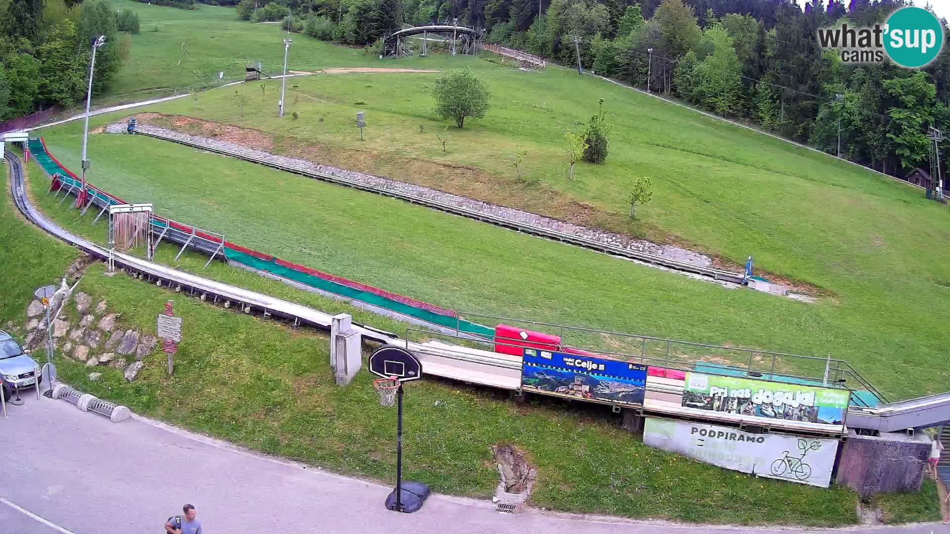 Celjska Koča – Blick vom Hotel