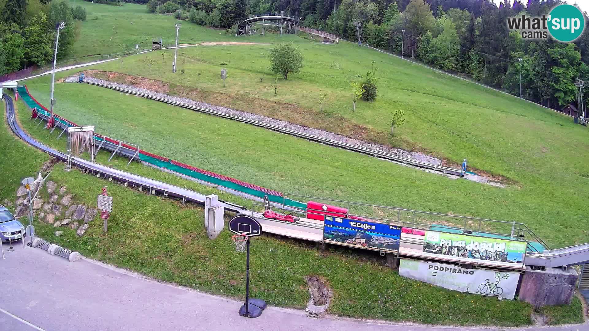 Celjska Koča – vista dall’hotel