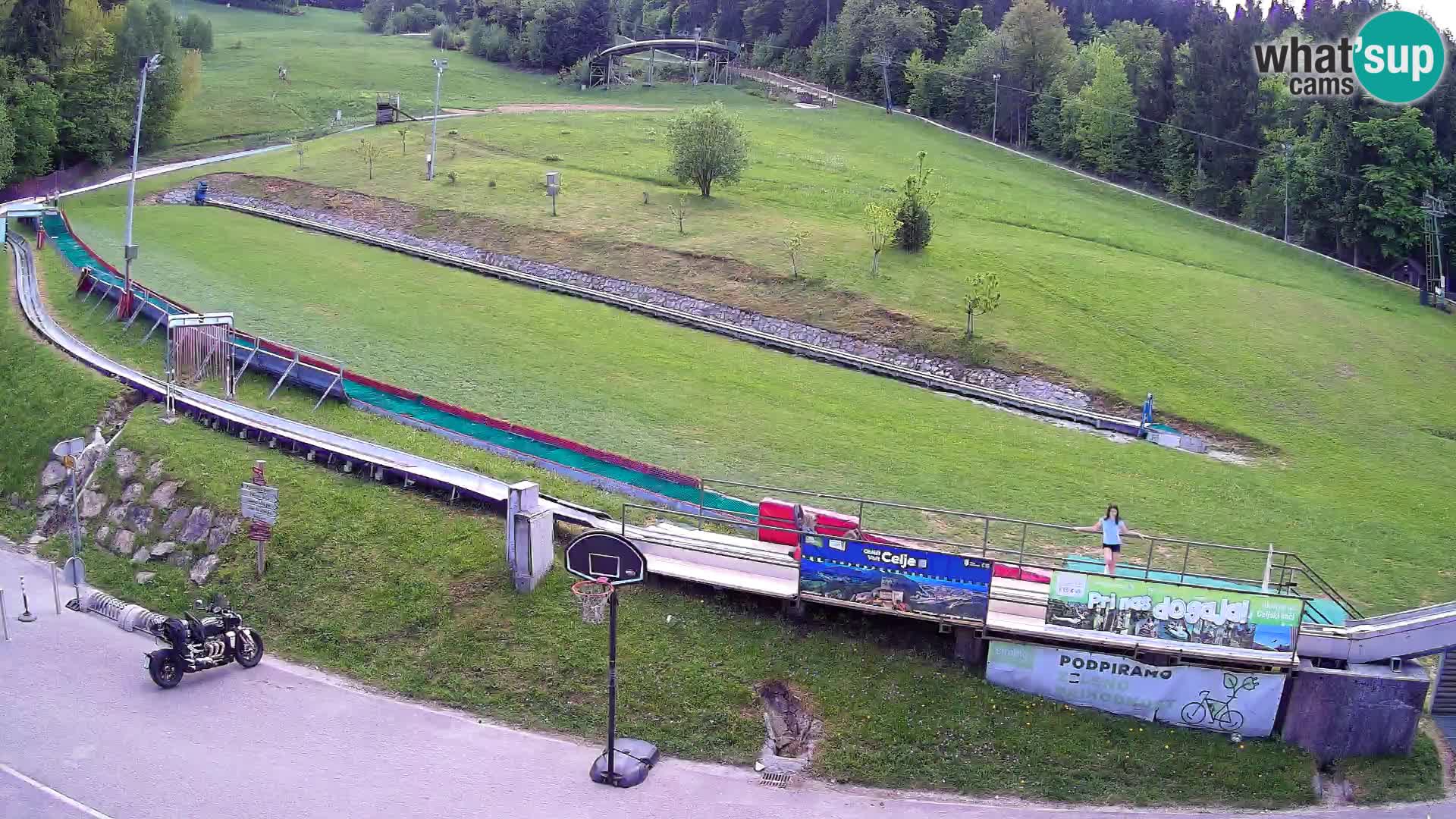 Celjska Koča – Blick vom Hotel