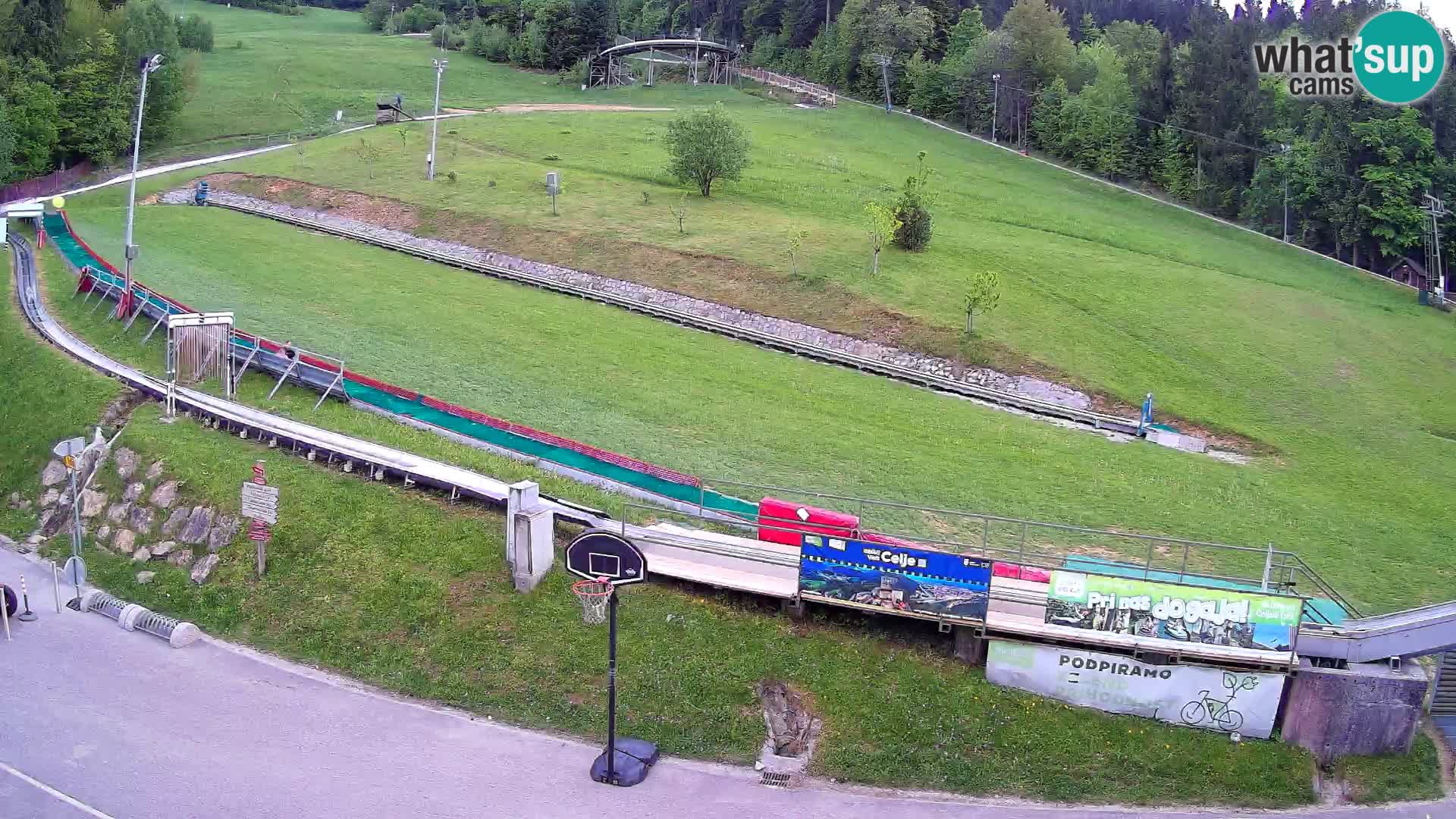 Celjska Koča – view from hotel – Celje – Slovenia