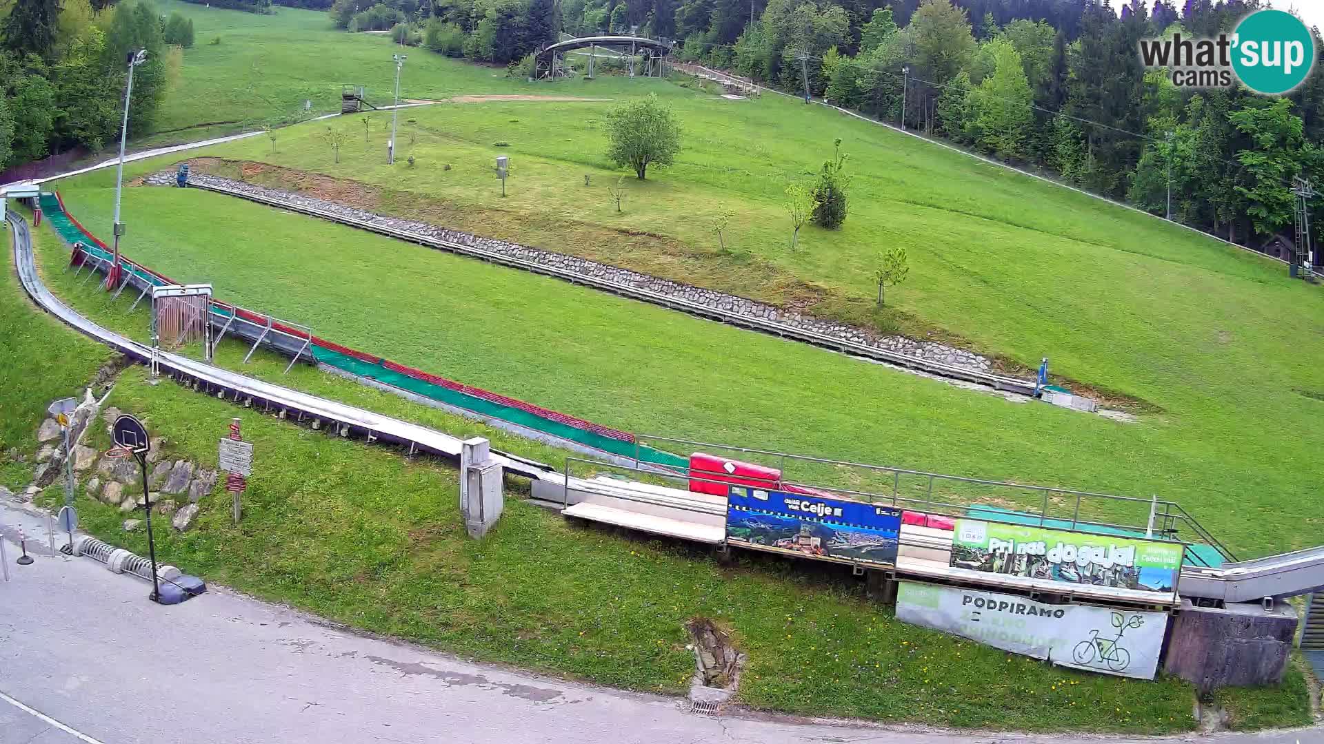 Celjska Koča – Blick vom Hotel
