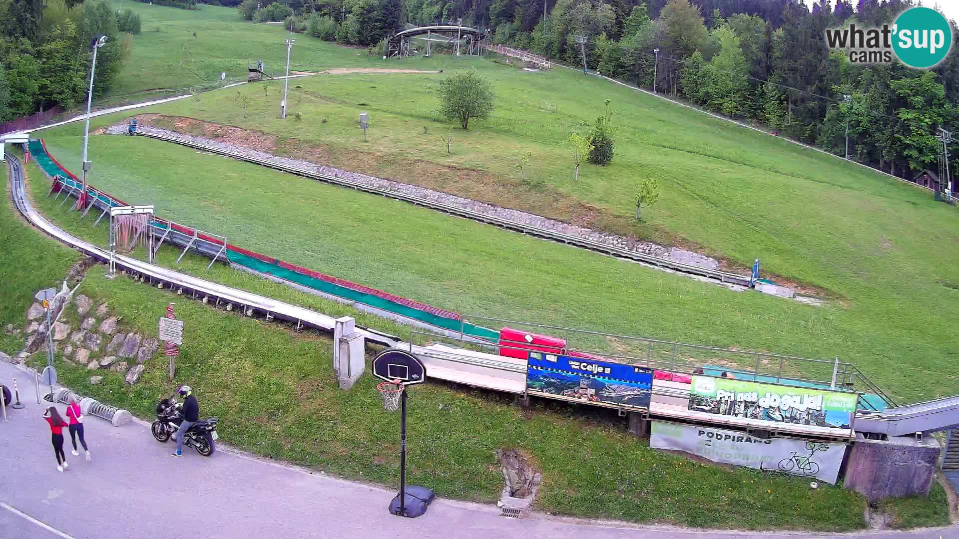 Celjska Koča – Blick vom Hotel