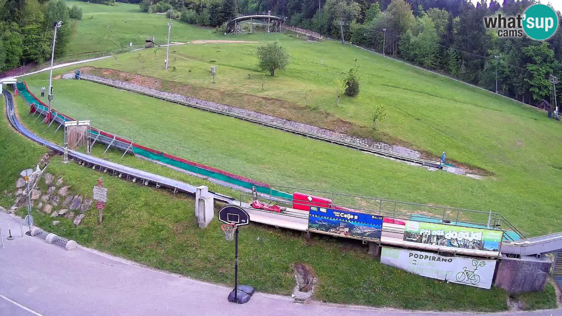 Celjska Koča – vista desde el hotel