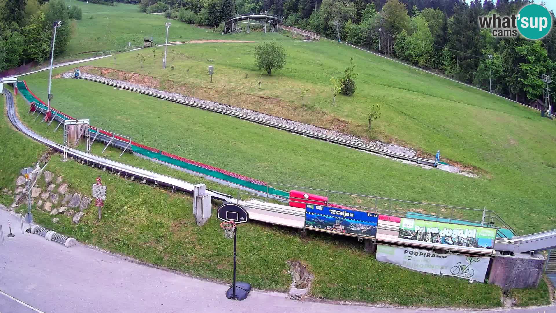 Celjska Koča – view from hotel – Celje – Slovenia