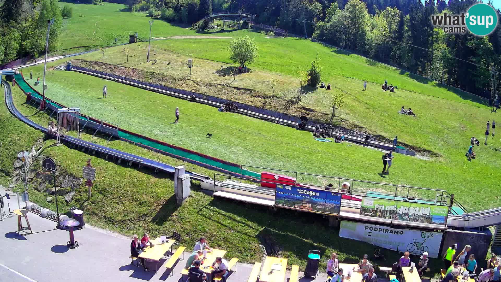 Celjska Koča – Blick vom Hotel
