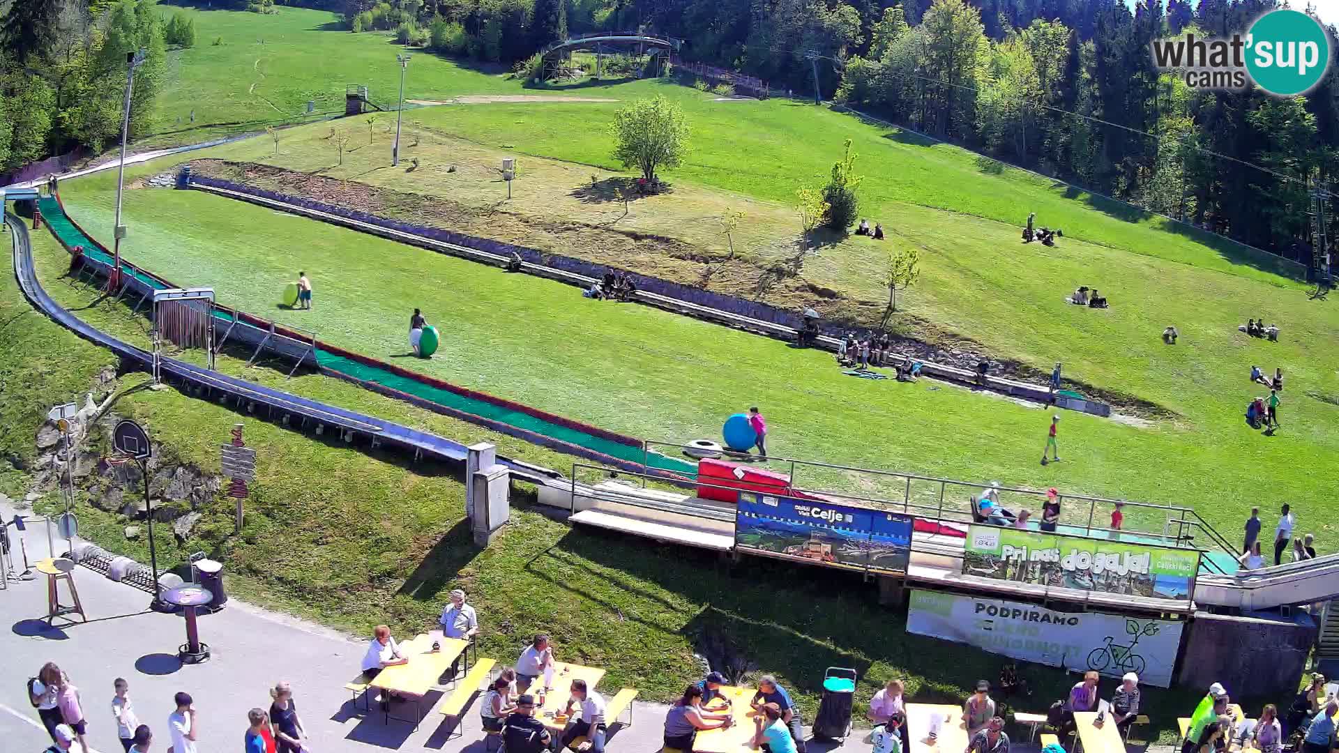 Celjska Koča – view from hotel – Celje – Slovenia