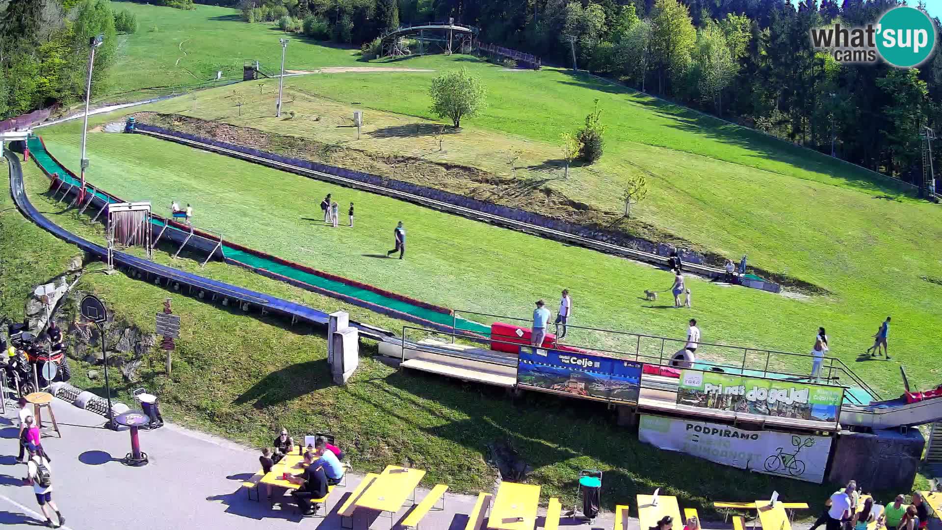 Celjska Koča – vista dall’hotel