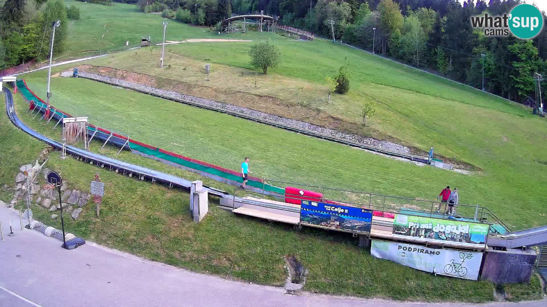 Celjska Koča – view from hotel – Celje – Slovenia