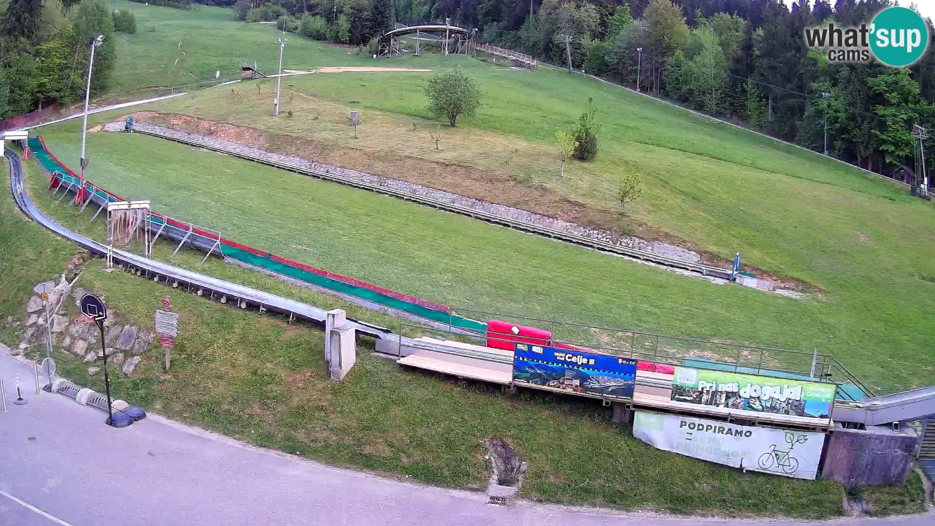 Celjska Koča – vista dall’hotel