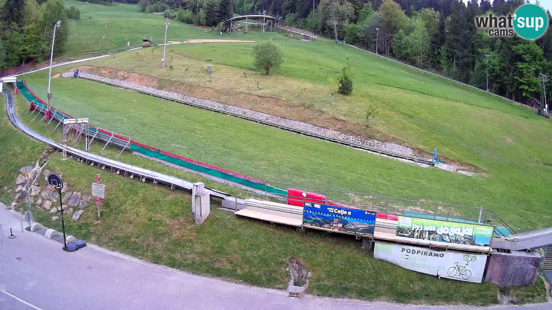 Celjska Koča – vista dall’hotel