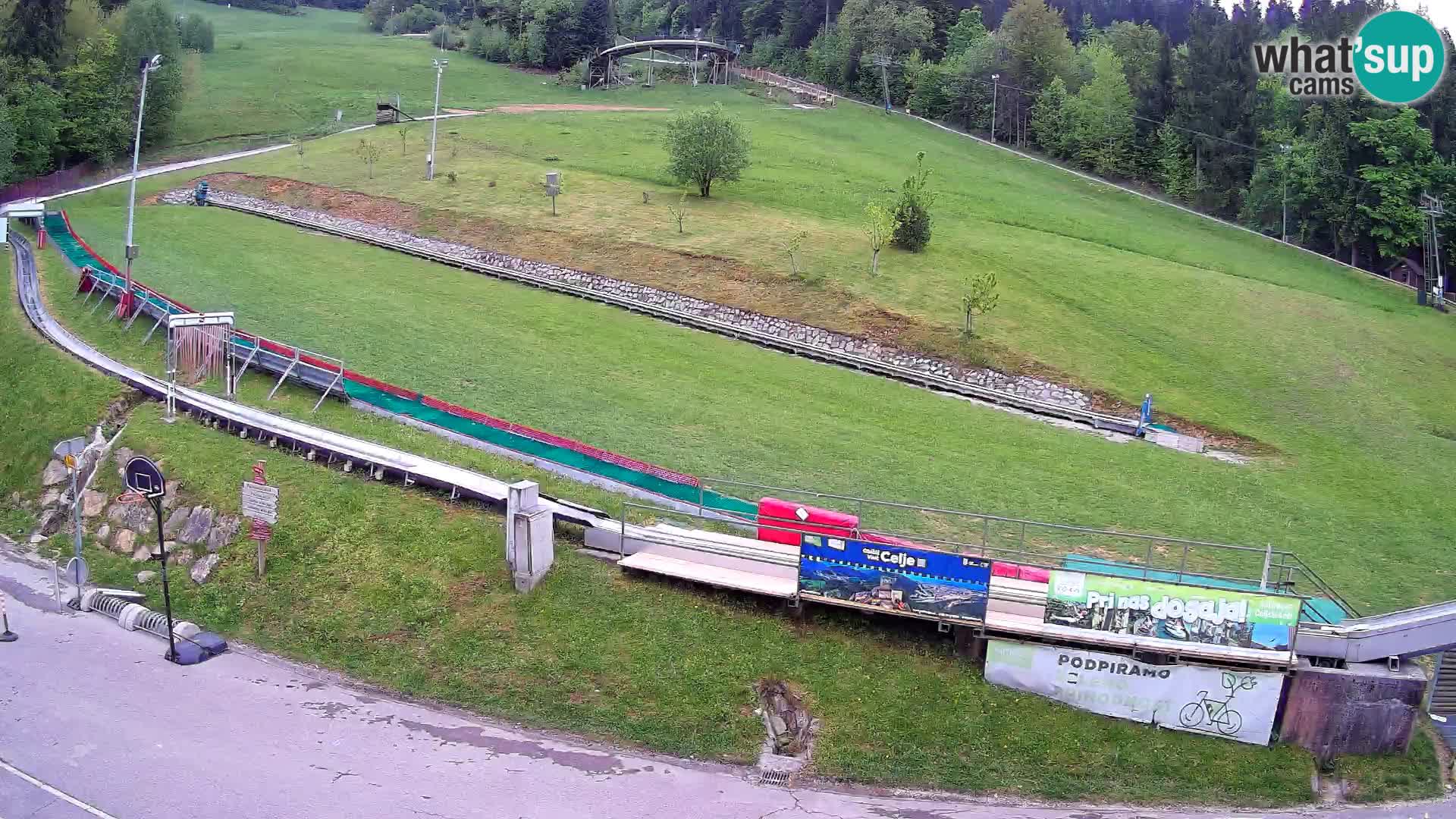 Celjska Koča – vista dall’hotel
