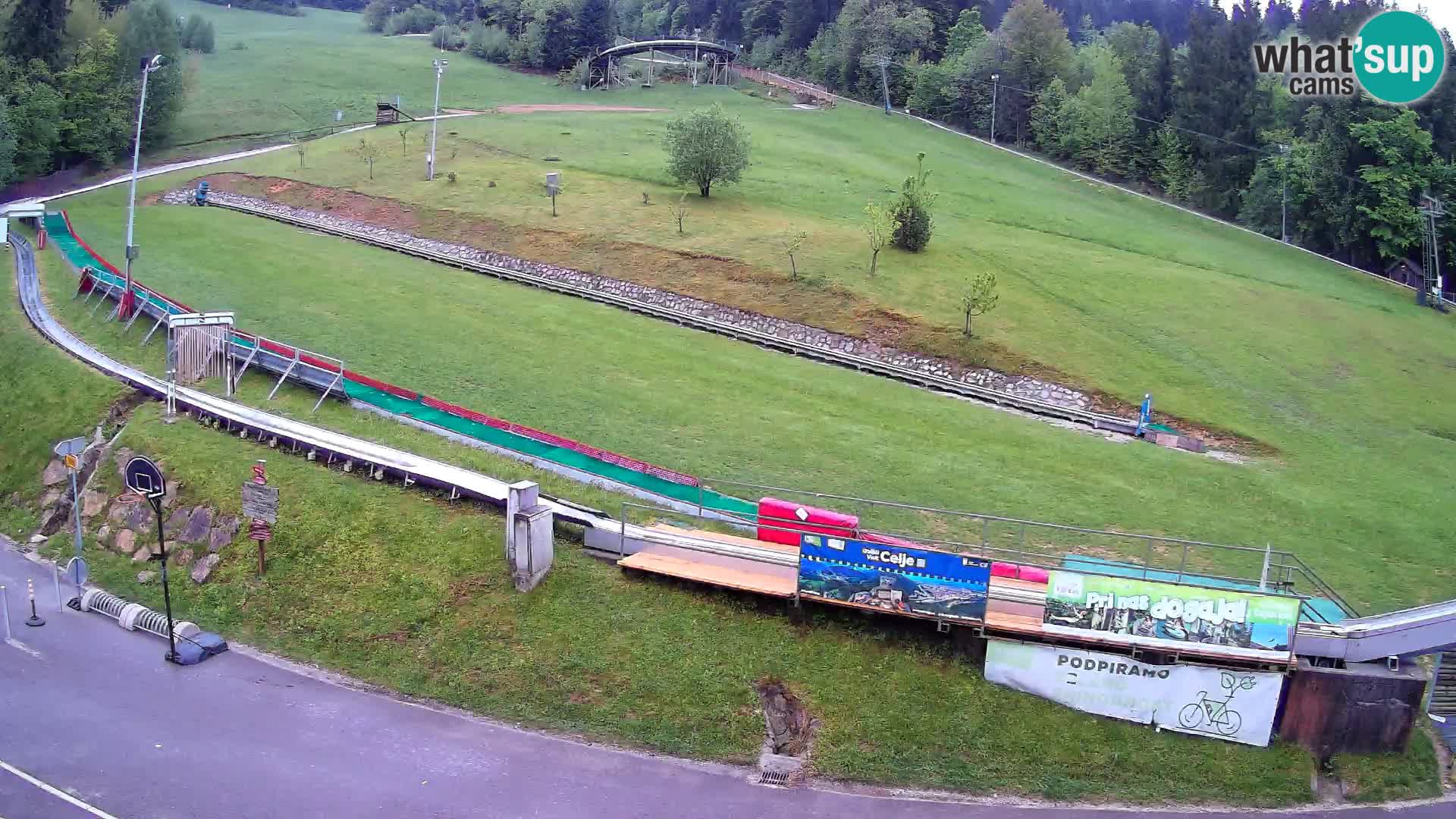 Celjska Koča – vista dall’hotel