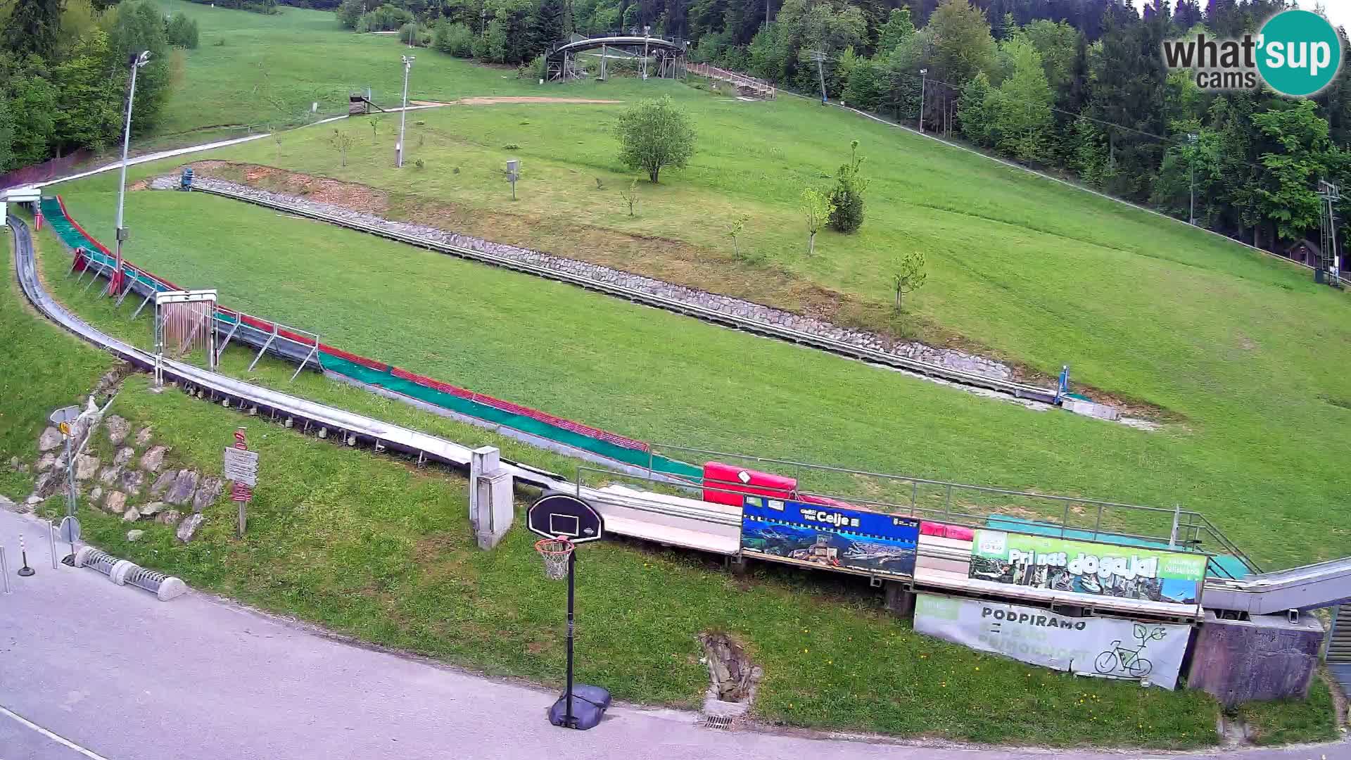 Celjska Koča – Blick vom Hotel