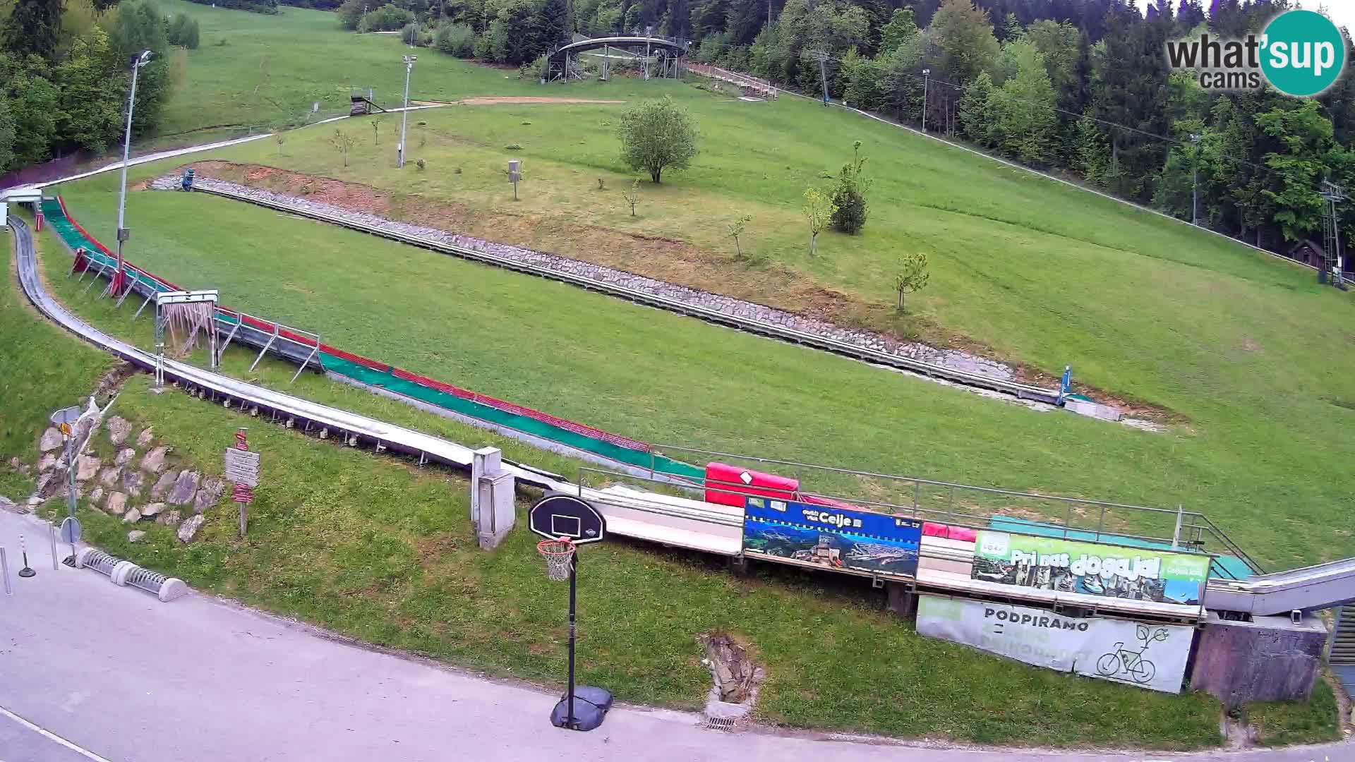Celjska Koča – vista dall’hotel